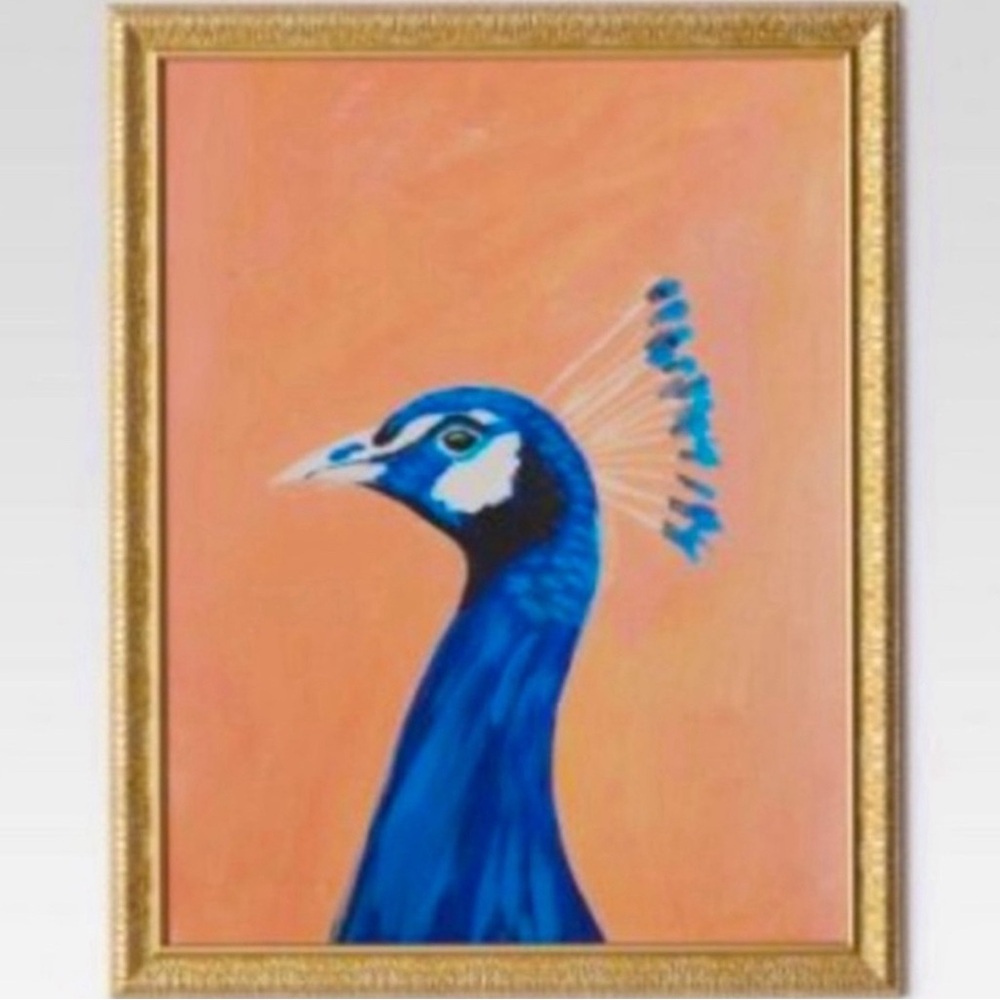 ISO From Target Peacock photo